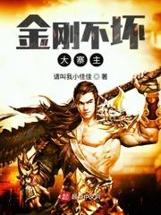 金刚不坏大寨主讲的啥