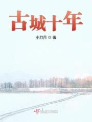 古城十年庆祝