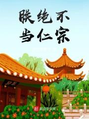 朕绝不当仁宗起点