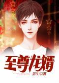 至尊龙婿叶辰萧初然全文完结免费
